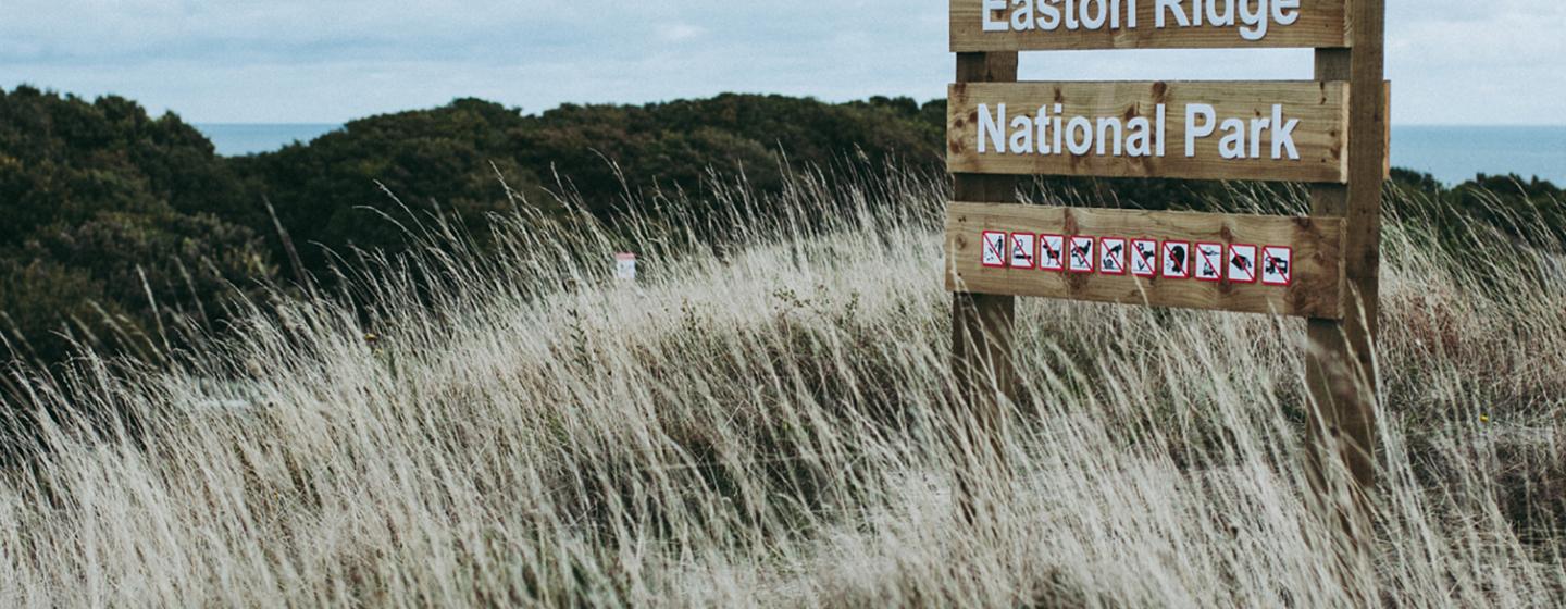 Easton Ridge National Park by Claudia Antonius & Jörg Jozwiak. Photo: Pete Millson. b-side festival 2018